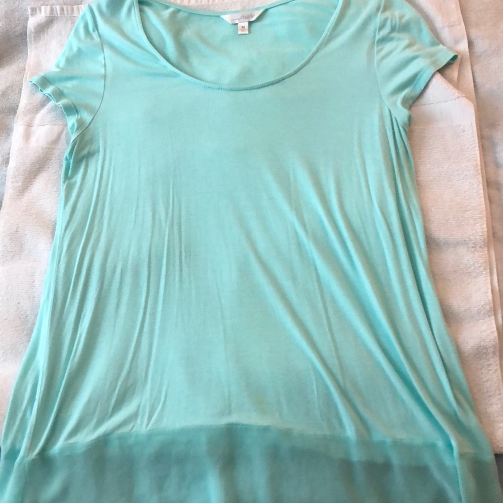 Sheer bottom shirt